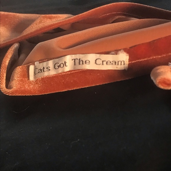 Burnt Orange Velvet Halter Top - Picture 3 of 3